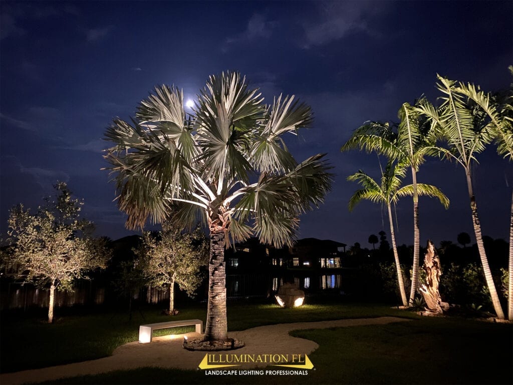 Illumination-FL-Landscape-Lighting-Garden-Seating-Park