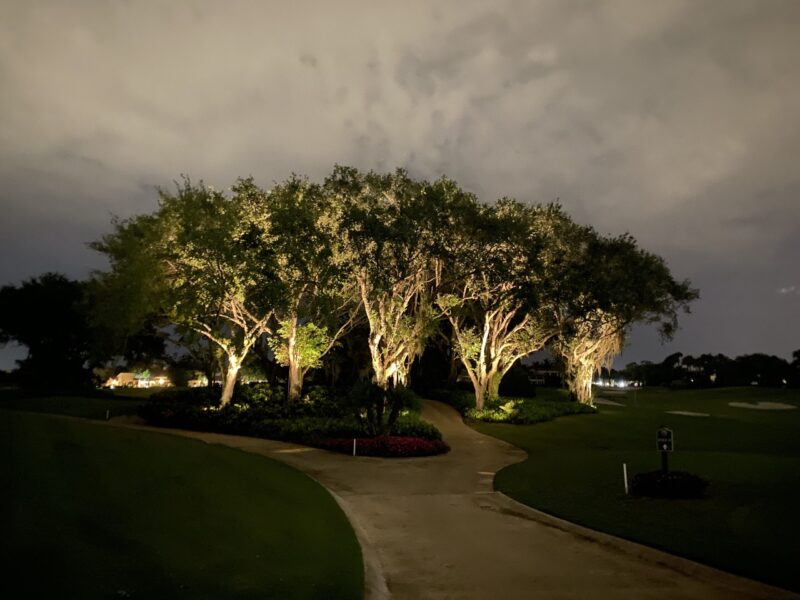 Boca Aire Country Club Trees 051321 copy