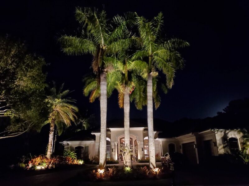 Residential Landscape Lighting Front Yard